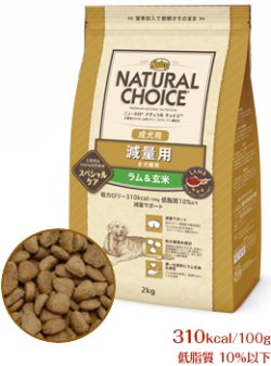 画像1: 《ナチュラルチョイス　減量用》ラム＆玄米（全犬種用）　1kg　２kg　４ｋｇ　７．５ｋｇ　１３．５ｋｇ